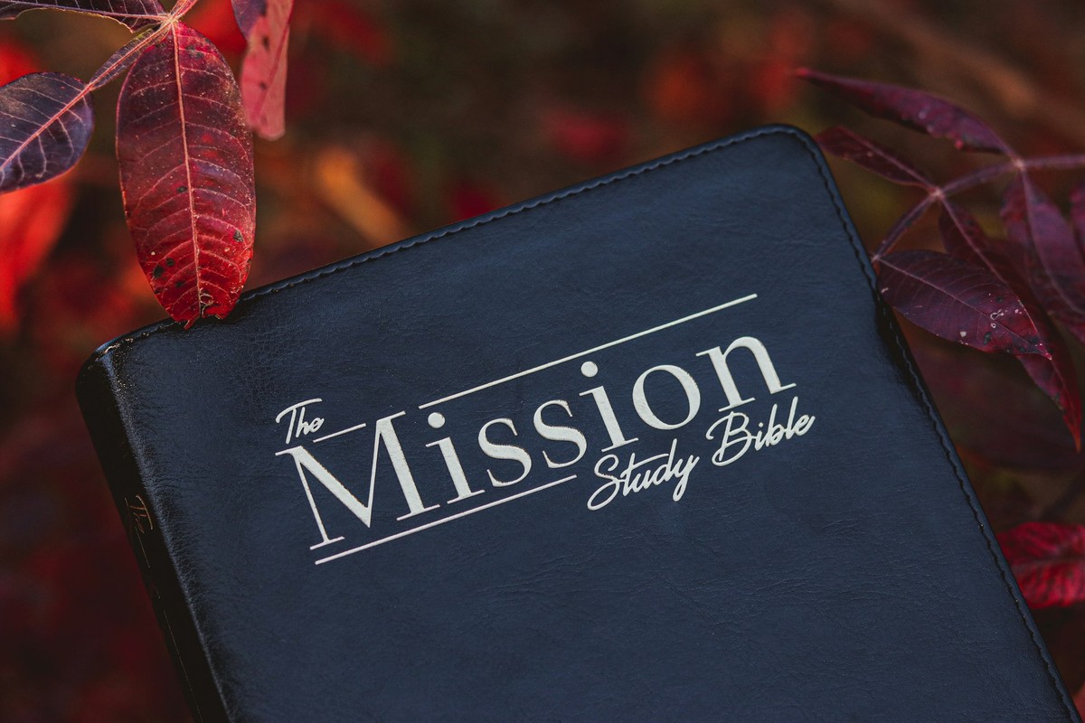 Our Mission and Vision